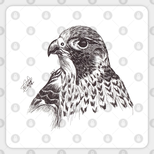 Falcon Sticker by BeritValk